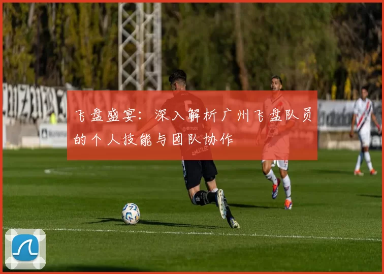 飞盘盛宴:深入解析广州飞盘队员的个人技能与团队协作