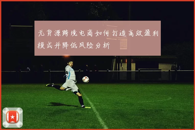 无货源跨境电商如何打造高效盈利模式并降低风险分析