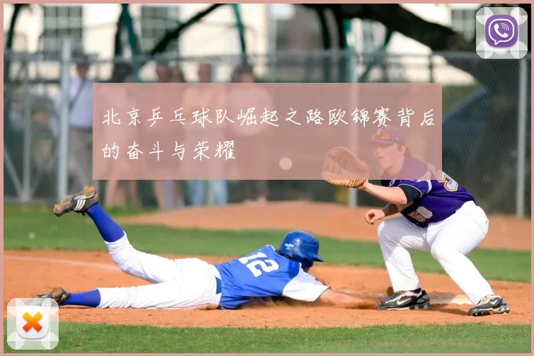 北京乒乓球队崛起之路欧锦赛背后的奋斗与荣耀
