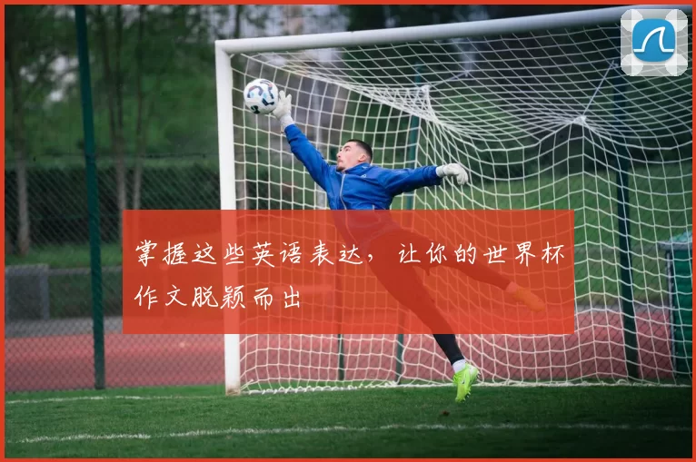 掌握这些英语表达，让你的世界杯作文脱颖而出