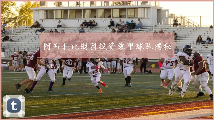 阿布扎比财团投资意甲球队揭秘