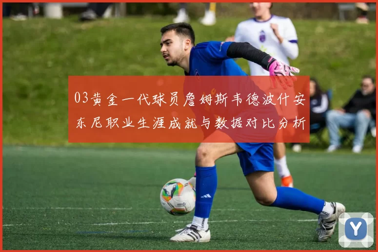 03黄金一代球员詹姆斯韦德波什安东尼职业生涯成就与数据对比分析
