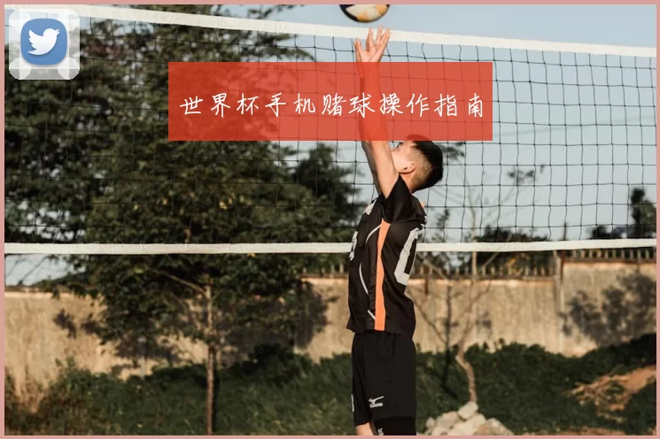 世界杯手机赌球操作指南