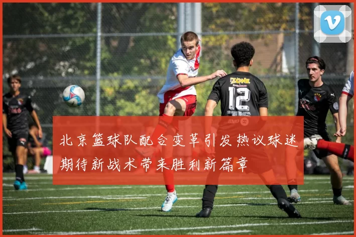 北京篮球队配合变革引发热议球迷期待新战术带来胜利新篇章