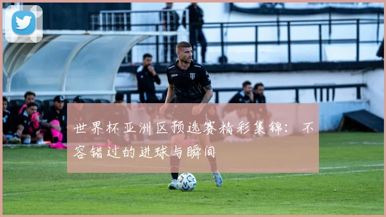 世界杯亚洲区预选赛精彩集锦：不容错过的进球与瞬间