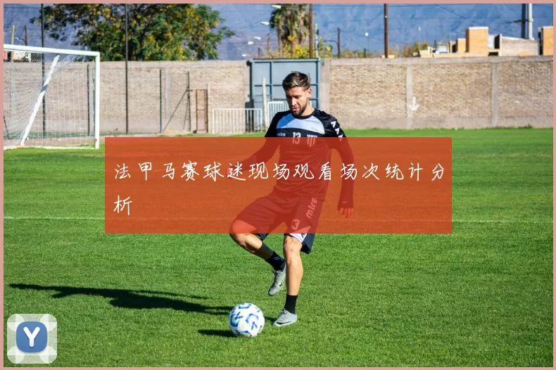 法甲马赛球迷现场观看场次统计分析