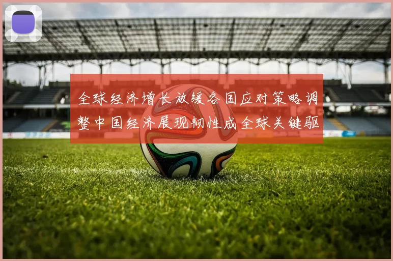 全球经济增长放缓各国应对策略调整中国经济展现韧性成全球关键驱动力