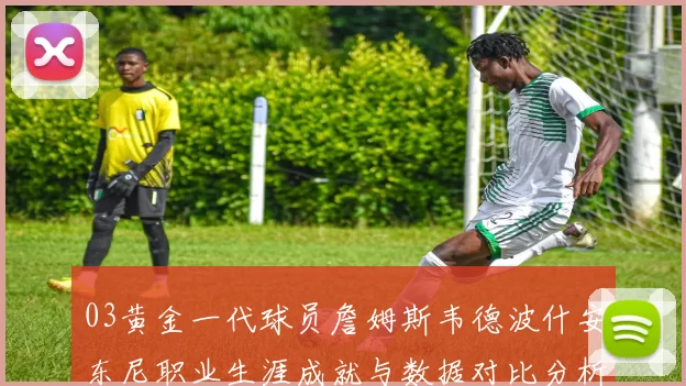 03黄金一代球员詹姆斯韦德波什安东尼职业生涯成就与数据对比分析