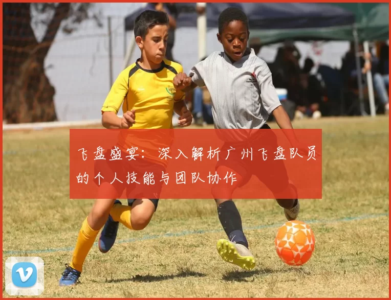 飞盘盛宴：深入解析广州飞盘队员的个人技能与团队协作