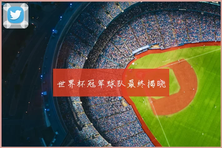 世界杯冠军球队最终揭晓