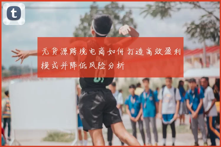 无货源跨境电商如何打造高效盈利模式并降低风险分析