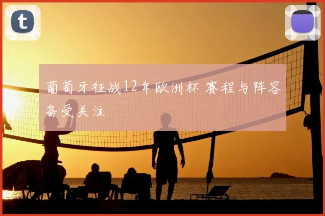 葡萄牙征战12年欧洲杯 赛程与阵容备受关注